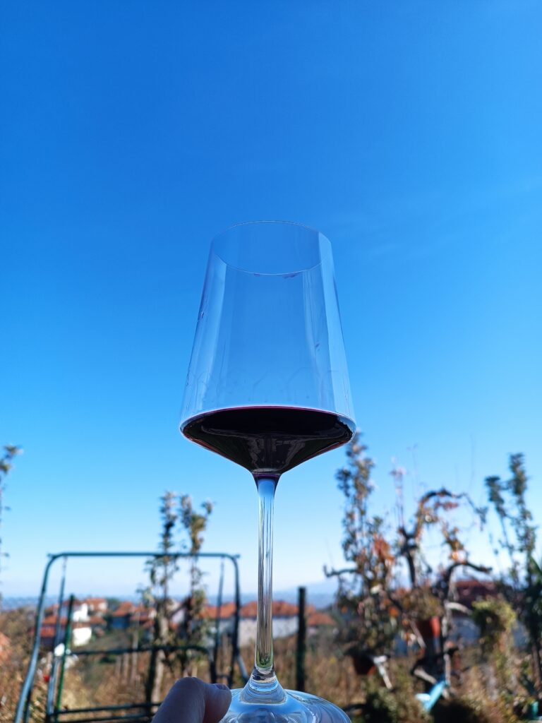 Domaće vino