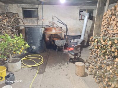 Domaća rakija od šljiva