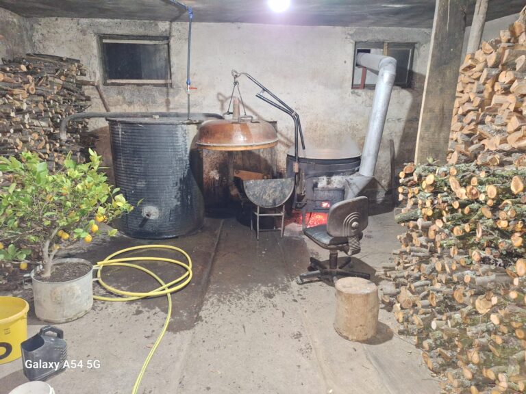 Domaća rakija od šljiva